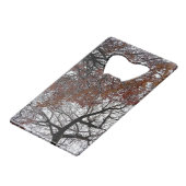 Les cimes des arbres (Dos Angle)