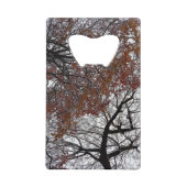 Les cimes des arbres (Dos)