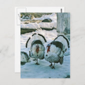 Les clés de la carte postale de la ferme (Devant / Derrière)