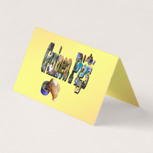 Les Cochons De Guinée, C'Est Le Mot, Les Cartes Pl