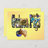 Les Cochons De Guinée Est Le Mot, Carte Postale (Devant / Derrière)