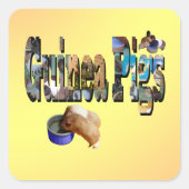 Les Cochons De Guinée Est Le Mot, Les Stickers (Devant)