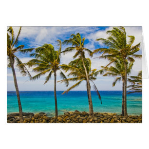 Les cocotiers (Cocos nucifera) se balancent dans