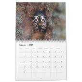 Les coléoptères ! Calendrier (Feb 2027)