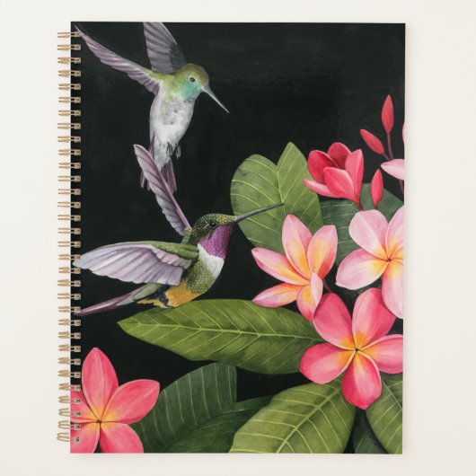Les colibris de la Plumeria (Devant)