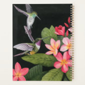 Les colibris de la Plumeria (Dos)