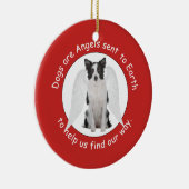 Les colleys de frontière sont ornement d'anges (Droite)