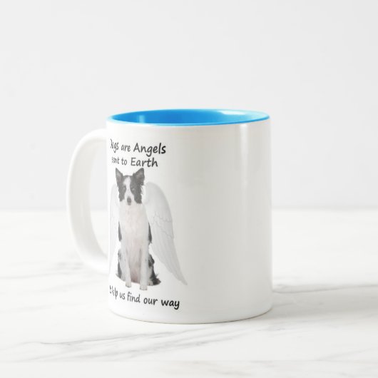 Les colleys de frontière sont tasse d'anges (Devant gauche)