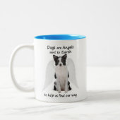 Les colleys de frontière sont tasse d'anges (Gauche)