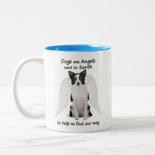 Les colleys de frontière sont tasse d'anges (Gauche)