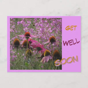 Les Conflowers Poussent. Carte Postale Texte Bient