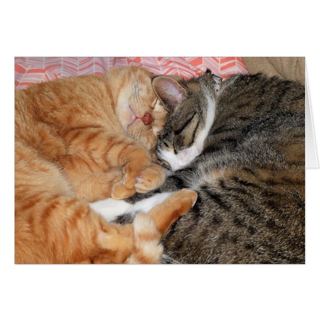 Les copains (Devant horizontal)