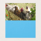 Les coqs de poulet Joyeux de nous Carte de Noël se (Inside Unfolded)