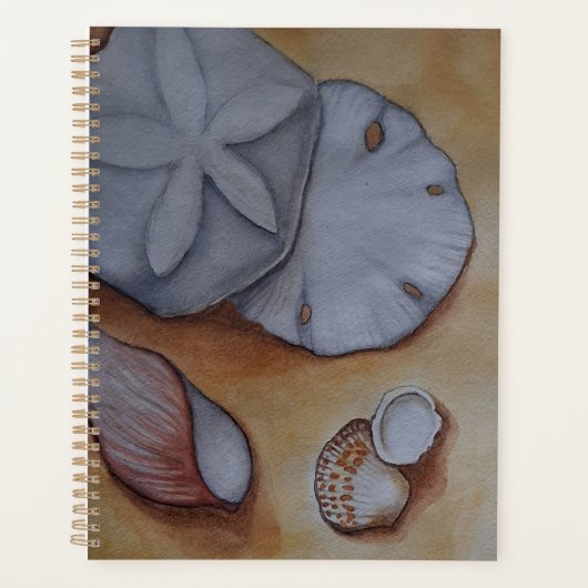 Les coquillages en bord de mer (Devant)
