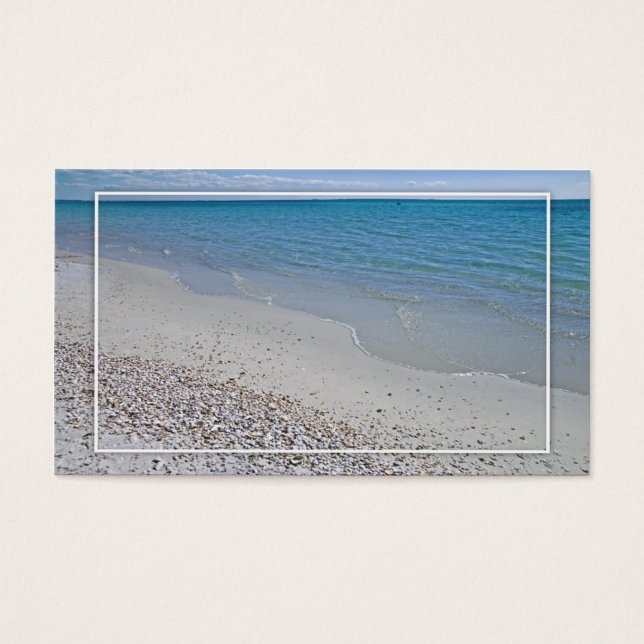 Les coquillages océaniques et marins (Devant)