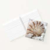 Les coquilles dans le Carnet de sable (Intérieur)