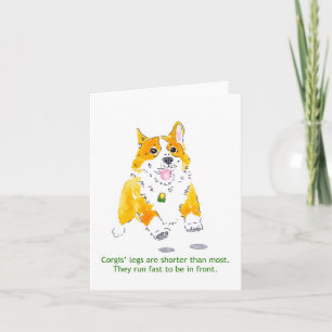 Les Corgis courent la carte rapide