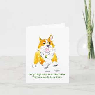 Les Corgis courent la carte rapide