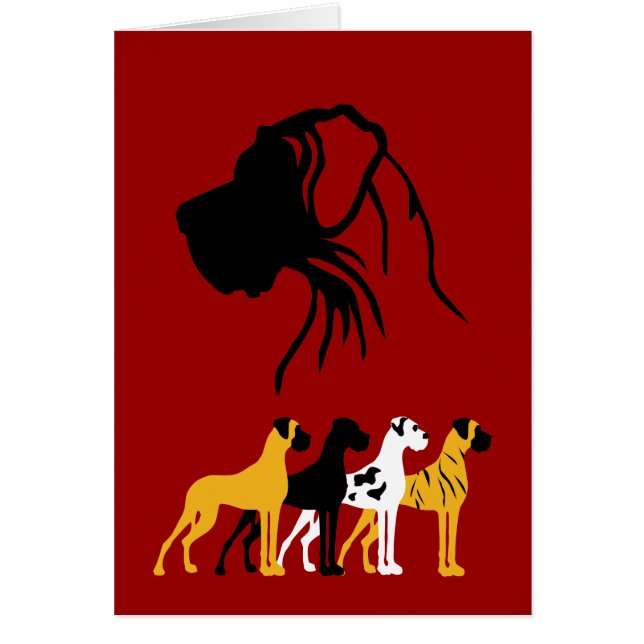 Les couleurs de base du danois (Devant)