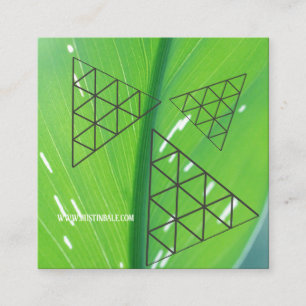 Les couleurs de la Terre des Cartes de visite Carr