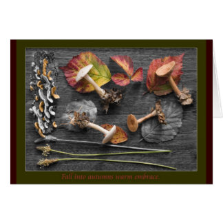 Les couleurs de l'automne