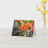 Les couleurs des cartes de note de ressort (Fleur jaune)