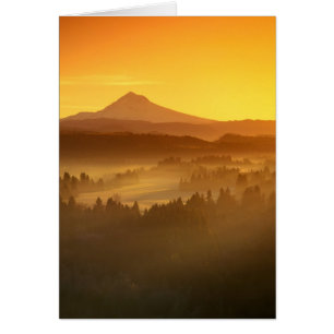 Les couleurs orange du lever du soleil colorent le