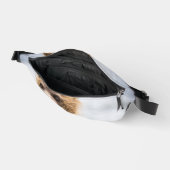 Les Cubs Grizzly À La Recherche De Leur Maman (Ouvrir)