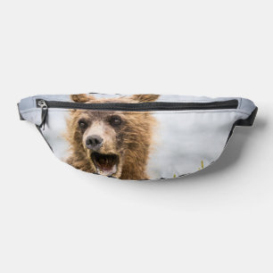 Les Cubs Grizzly À La Recherche De Leur Maman