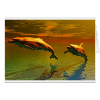Les dauphins au coucher du soleil