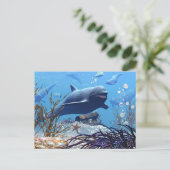 Les dauphins et la carte postale du coffre au trés (Debout devant)