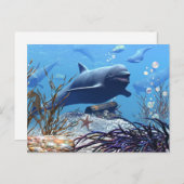 Les dauphins et la carte postale du coffre au trés (Devant / Derrière)