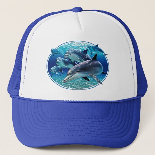 LES DAUPHINS REFROIDISSENT DES CASQUETTES D'ÉTÉ (Devant)