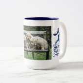 Les demi-douzaines tasse du houx de banc (Devant droit)