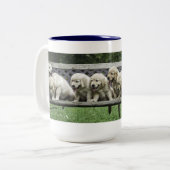 Les demi-douzaines tasse du houx de banc (Devant gauche)