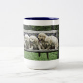 Les demi-douzaines tasse du houx de banc (Centre)