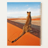 Les déserts | Désert de Cheetah Savannah (Dos)