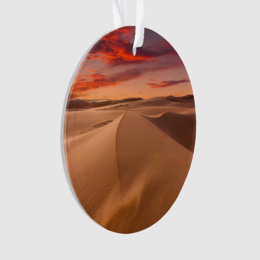 Les déserts | Emirats arabes unis désertiques (devant)