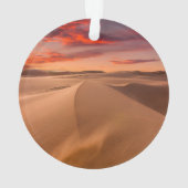 Les déserts | Emirats arabes unis désertiques (dos)