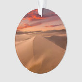 Les déserts | Emirats arabes unis désertiques (devant)