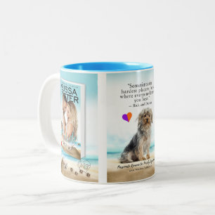 Les désirs de Bayside / Parfois de Mug