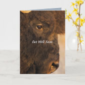 Les Deux Extrémités De La Carte Humoristique Buffa (Fleur jaune)