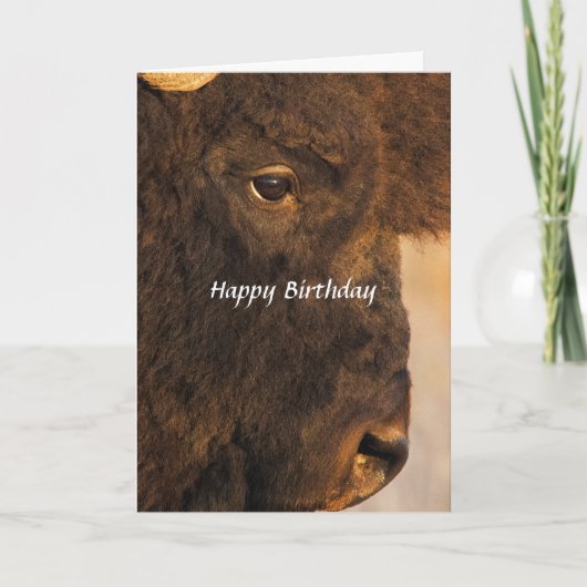 Les Deux Extrémités De La Carte Humoristique Buffa (Devant)