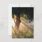 Les doigts de Dieu Arbre Cartes de Sympathie (Dos)