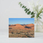 Les dunes de la Sossusvlei sur la carte postale de (Debout devant)