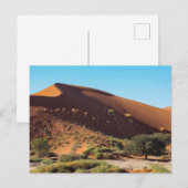 Les dunes de la Sossusvlei sur la carte postale de (Devant / Derrière)