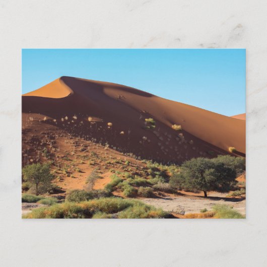 Les dunes de la Sossusvlei sur la carte postale de (Devant)