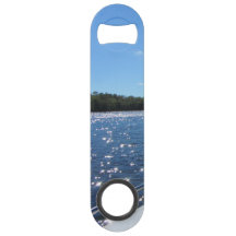 Les eaux bleues de scintillement de Vermilion de