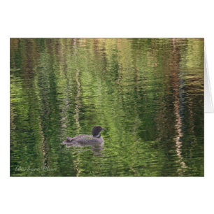 Les eaux de Walden Pond—Loon commun