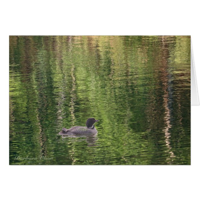 Les eaux de Walden Pond—Loon commun (Devant horizontal)